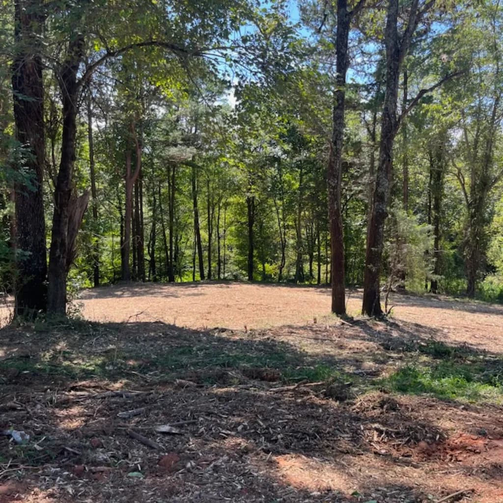 Forestry Mulching and Land Clearing